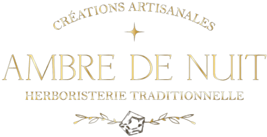 LOGO_AMBRE_DE_NUIT