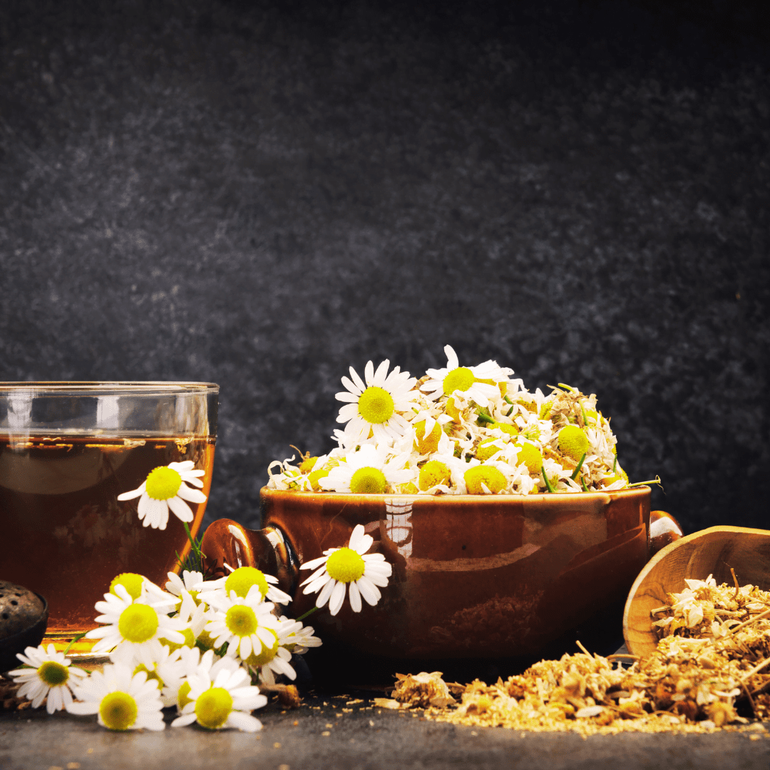 HE de Camomille Romaine Bio – Image 2