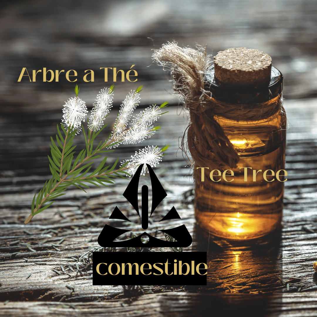 l'huile essentielle de tee tree est comestible