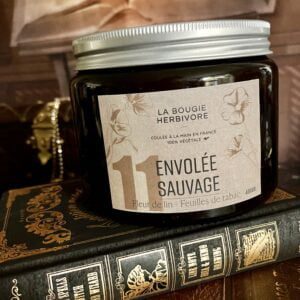 bougie envolée sauvage