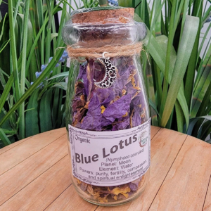 fleur de lotus bleu