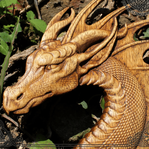 dragon de bois 2024